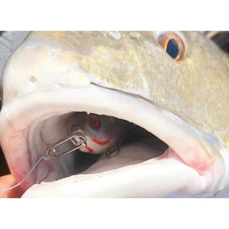 🔥Topwater Co Speed Clips