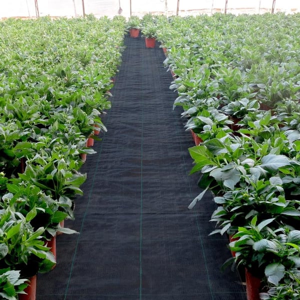 🔥 Premium Woven Weed Barrier