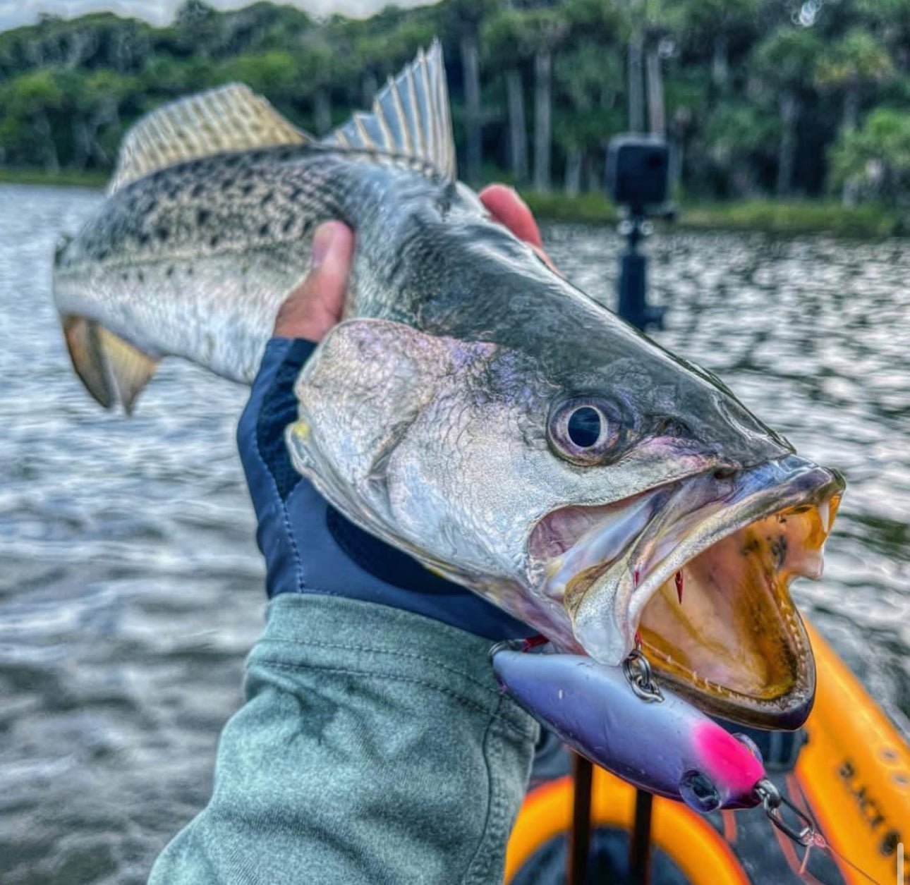 🔥Topwater Co Speed Clips