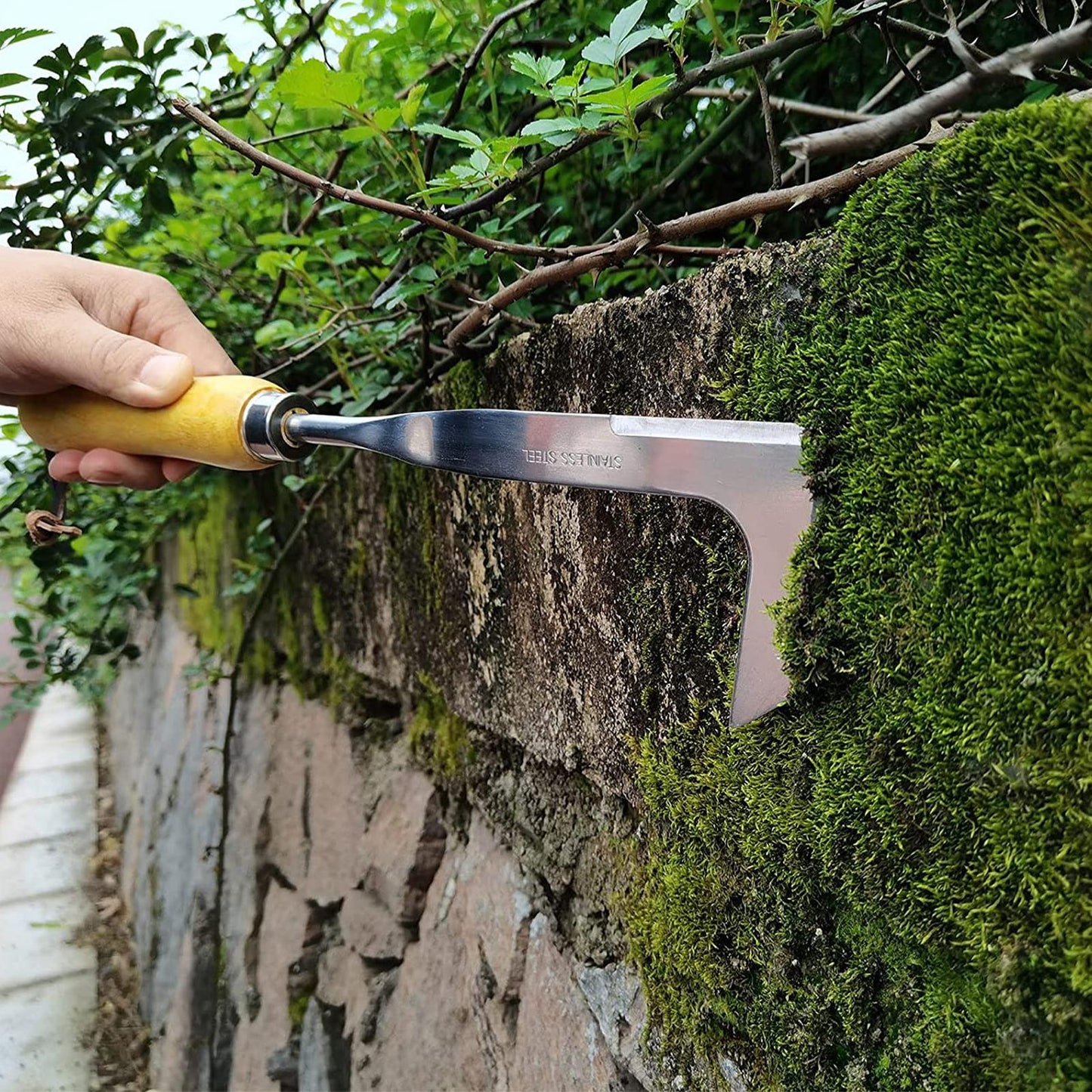 CrevWeeder® | Sharp Crevice Weeding & Slicing Tool