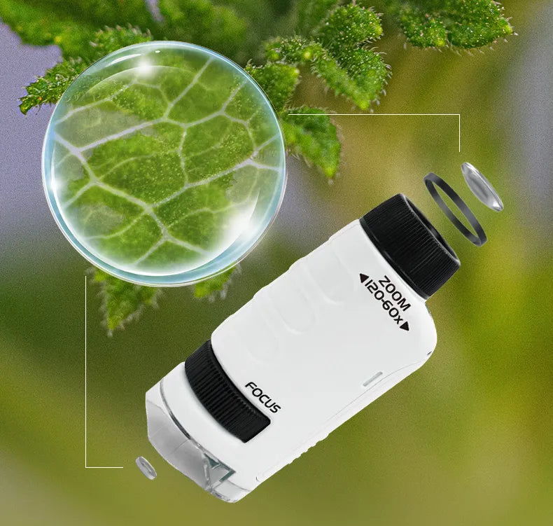 Kids Pocket Microscope